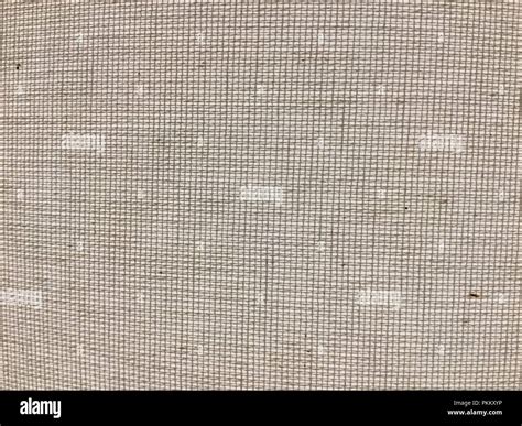White Bumpy Surface Closeup Stock Photo Alamy