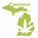 Growing Marijuana In Michigan Pictures