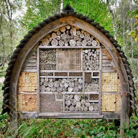 Check spelling or type a new query. How To Build A Mason Bee House