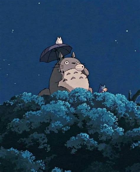 🔥totoro Animation Anime Hayao Miyazaki My Neighbor Totoro Studio Ghibli