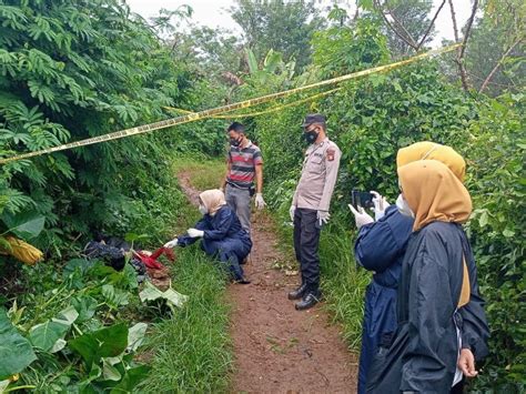 Geger Mayat Wanita Tanpa Identitas Ditemukan Tinggal Kerangka Di Pembuangan Sampah