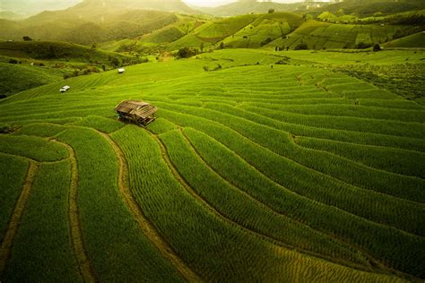 China Nature Village Landscape Forest Morning Hills Asia