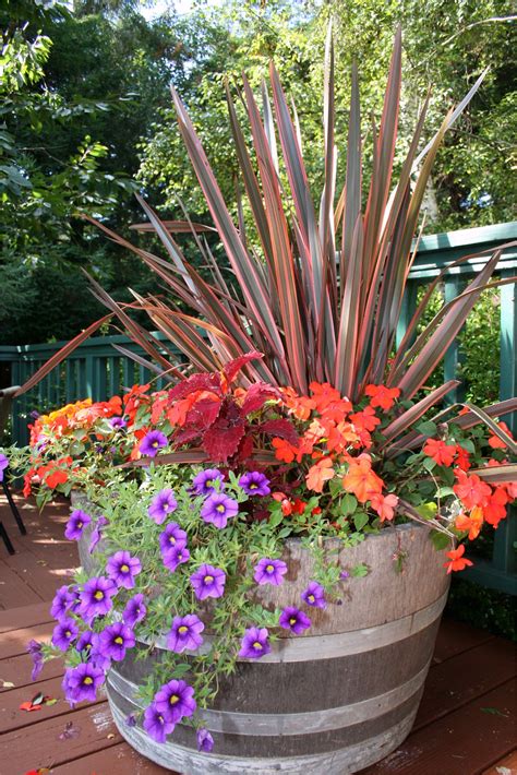 container garden combination fall container gardens container plants fall flower pots