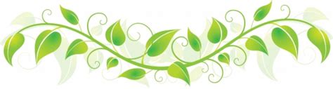 Green Vine Cliparts Adding A Touch Of Nature And Elegance To Design