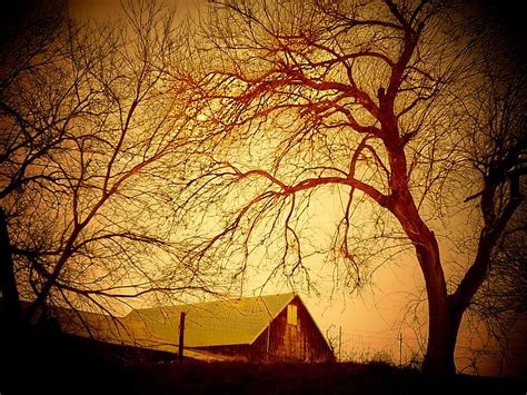 Tree Barn Photograph By Michael L Kimble Fine Art America