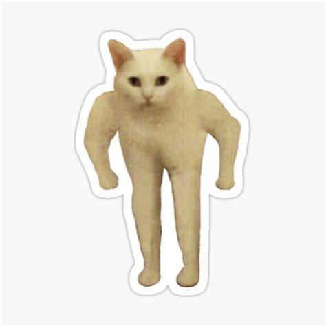 Standing Cat Meme Sticker For Sale By Bizkitbones Redbubble