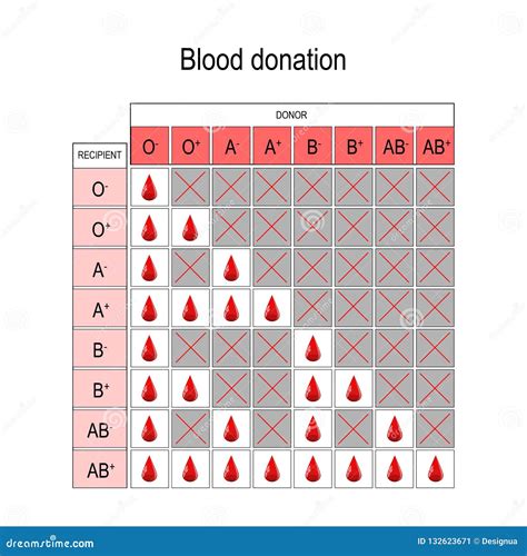 What Blood Type Can Donate To Anybody