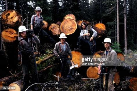 Woodcutters In Alaska United States Alaska Southeast Lumberjacks