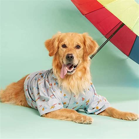Dress Up Your Dog In These Adorable Outfits For A Fun Filled Summer