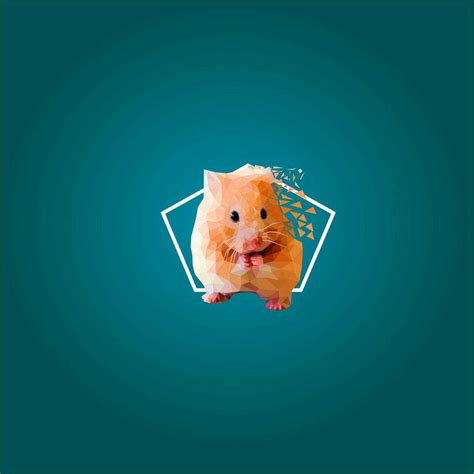 Hamster Background Kolpaper Awesome Free Hd Wallpapers