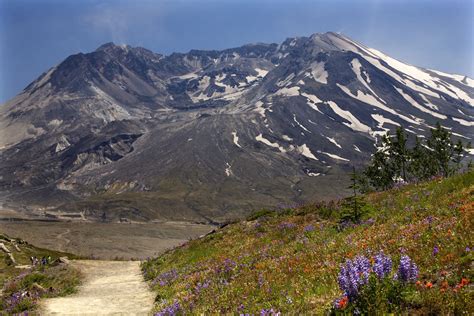 Bigs Mount St Helens Volcano With Lava Dome In Crater And Wildflowers Large 