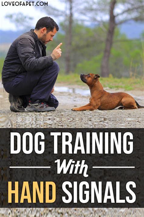 Dog Training With Hand Signals Hand Signals Can Be Utilized To Train