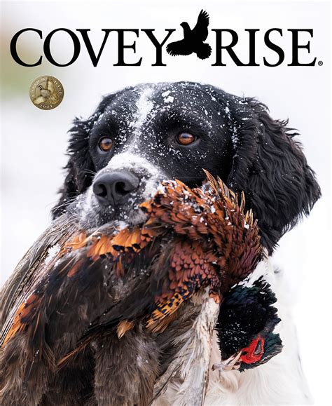 The February March 2021 Preview Covey Rise Article Pine Shadows