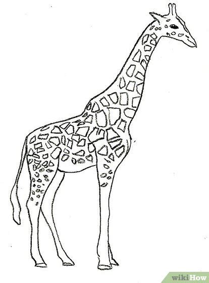 Comment Dessiner Une Girafe 8 étapes Avec Images