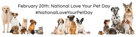 Pets Are Family: Celebrating National Love Your Pet Day