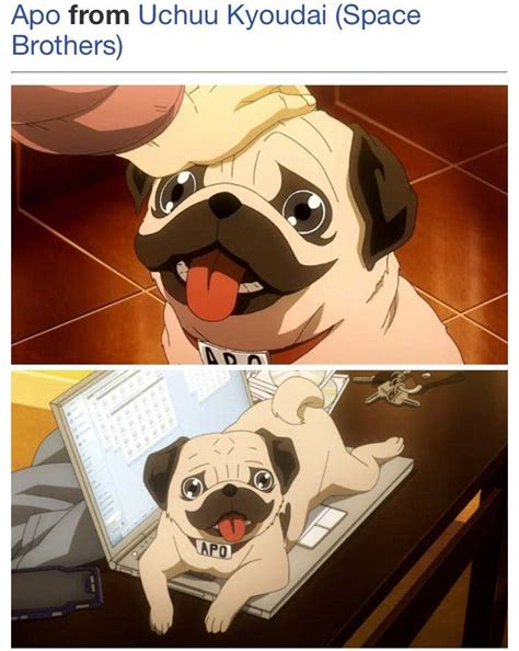 Top 20 Cute Anime Dogs Anime Amino