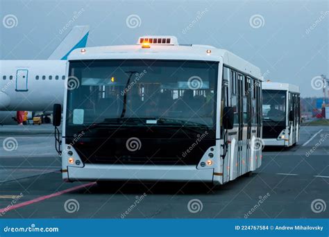 Two Airport Buses At The Morning Airfield Stock Photo Image Of Travel