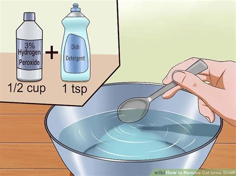 Smells like heaven · simple and easy · save today How to Remove Cat Urine Smell (with Pictures) - wikiHow