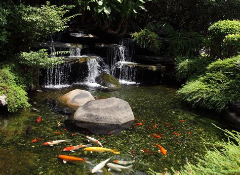 20 Koi Pond Ideas To Create A Unique Garden Pond Pumps And Filters