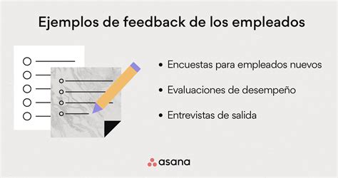 Cómo Recopilar Feedback De Los Empleados Consejos Y Ejemplos • Asana