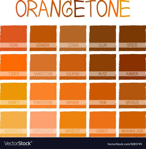 Orangetone Color Tone Royalty Free Vector Image