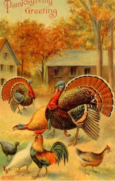 Thanksgiving Greeting Vintage Thanksgiving Cards Vintage