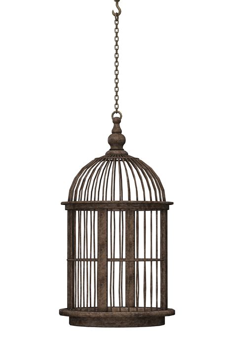 Bird Cage Png Image Purepng Free Transparent Cc0 Png Image Library