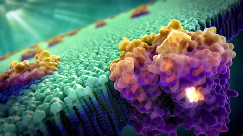 Cell Biology Wallpaper Images