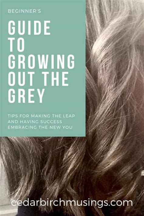 Beginner S Guide Stages Growing Out Grey Hair Cedarbirch Musings
