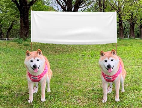Dogs With Flag Blank Template Imgflip