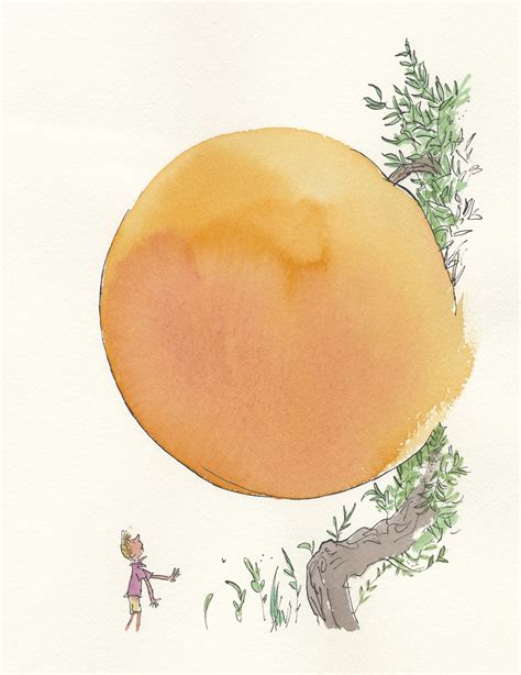 Pin By Brian Won On Illustrations Quentin Blake Illustrations James
