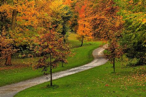 Autumn Paths Autumn Drives Paths Favorite Places
