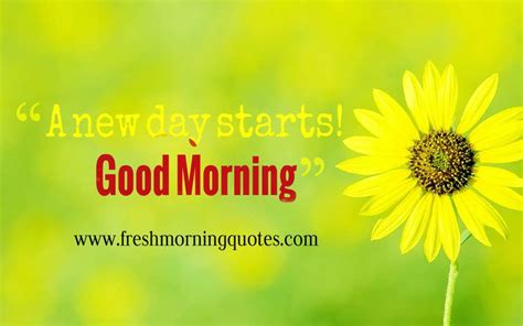 Good Morning A New Day Starts Good Morning Inspirational Quotes Good