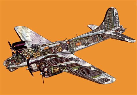 B Flying Fortress Cutaway Military Airplane Aircraft Design Cutaway