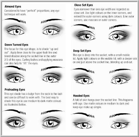 In regards to eye makeup, which is supposed to come first: How To Apply Eye Shadow For Different Eye Shapes!! | Trusper