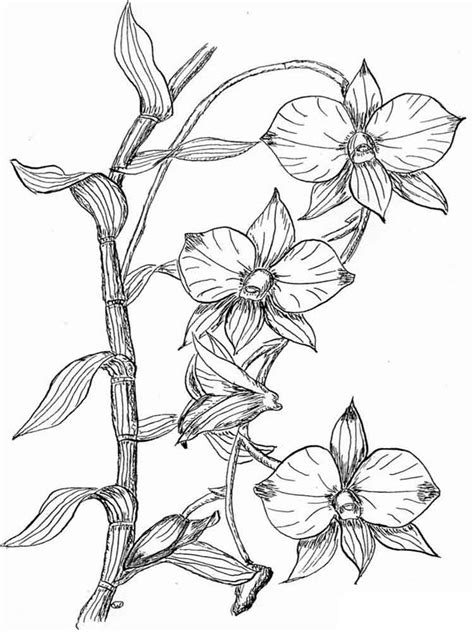Https://techalive.net/coloring Page/free Printable Coloring Pages For Spring