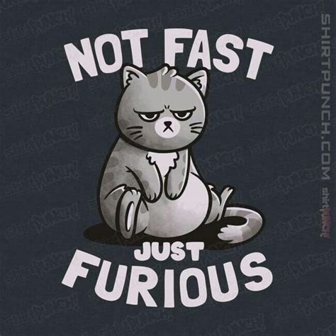 A T Shirt With A Cat Saying Not Fast Just Furious On It