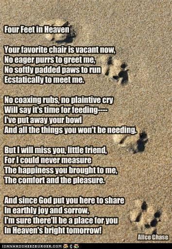 Four Feet In Heaven Pet Grief Pet Remembrance Cat Poems