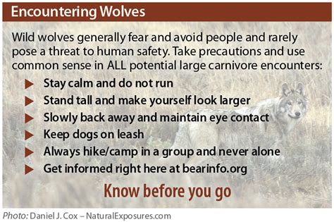 Wolf Safety Western Wildlife Outreach