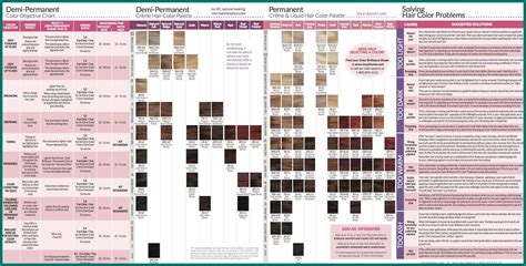 Ion Hair Color Chart Image Result For Ion Color Brilliance Color