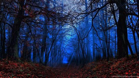 Mystical Forest Wallpapers Top Nh Ng H Nh Nh P