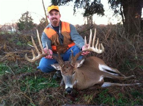 Hunter Regrets Killing Deer Sports