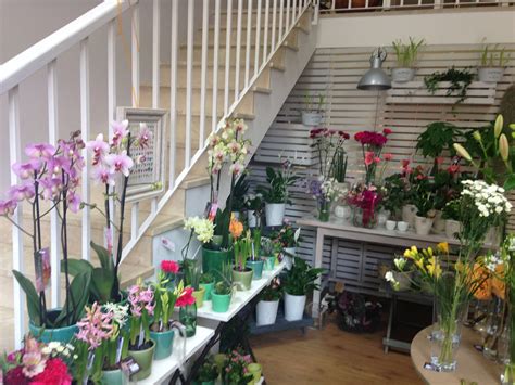 Simple Science: How to Make a Volcano with Kids