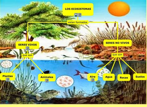 Que Es Un Ecosistema Ecosistema Que Es Concepto Tipos Images