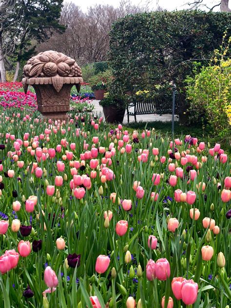 James Visits The Dallas Arboretum And Botanical Gardens Gulfside