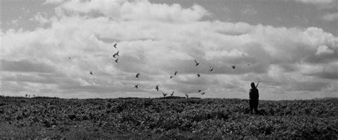 The Criterion Collection - The Human Condition(1959)