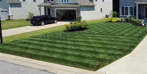 How To Level A Lawn In 2024 Make Your Bumpy Yard Flat And Level Lawn Phix