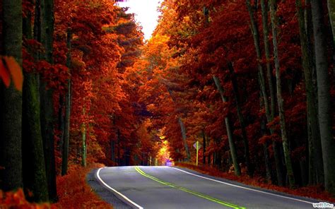 Autumn Fall Road Wallpapers Wallpaper Cave