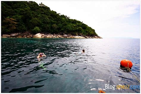 Shellfish, mollusc, clam, bivalve, example: Bloggang.com : 1twenty2
