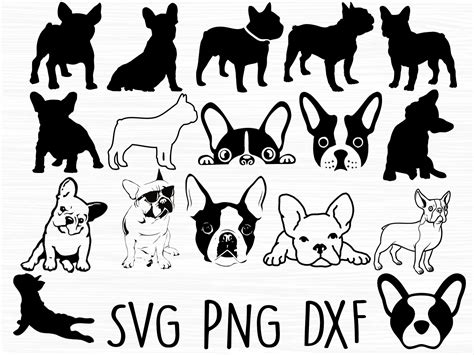 French Bulldog Svg French Bulldog Cut File Frenchie Dog Svg Etsy